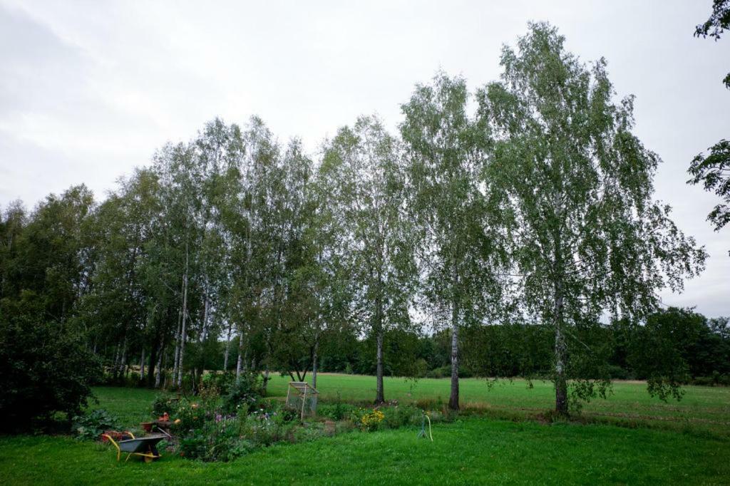 Obere Muehle - Scheunenwohnung Mitten Im Gruenen Baunach Kültér fotó